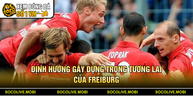 Định hướng gây dựng trong tương lai của Freiburg