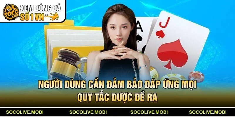 Người dùng cần đảm bảo đáp ứng mọi quy tắc được đề ra